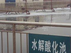 水解酸化池